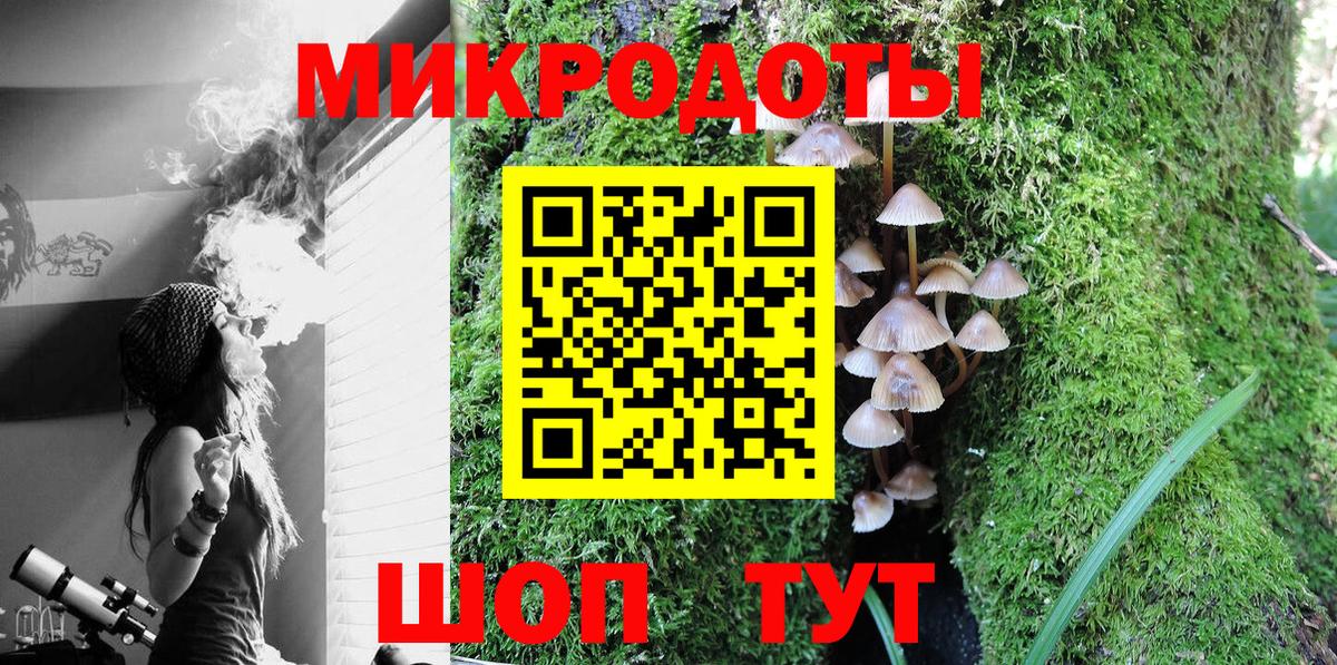 Галлюциногенные грибы прущие грибы Богородицк