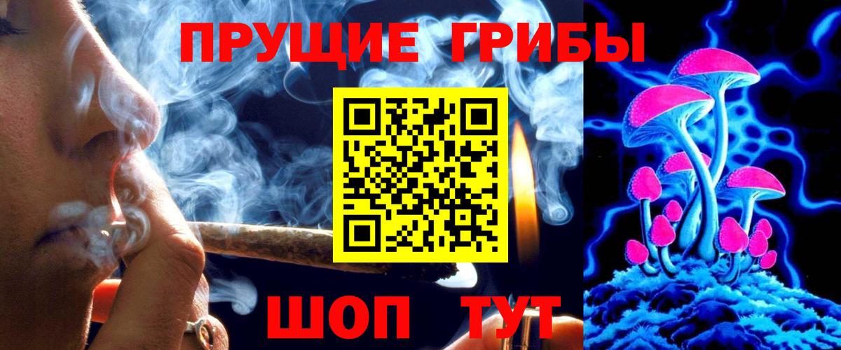 Богородицк  Псилоцибиновые грибы GOLDEN TEACHER  Вход с VPN 